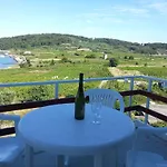 Sunce Daire *